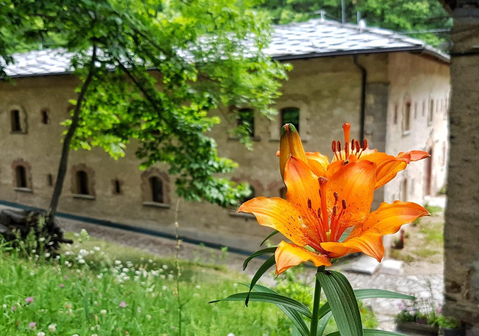 Forte Di Machaby Vandrarhem Arnad Exteriör bild
